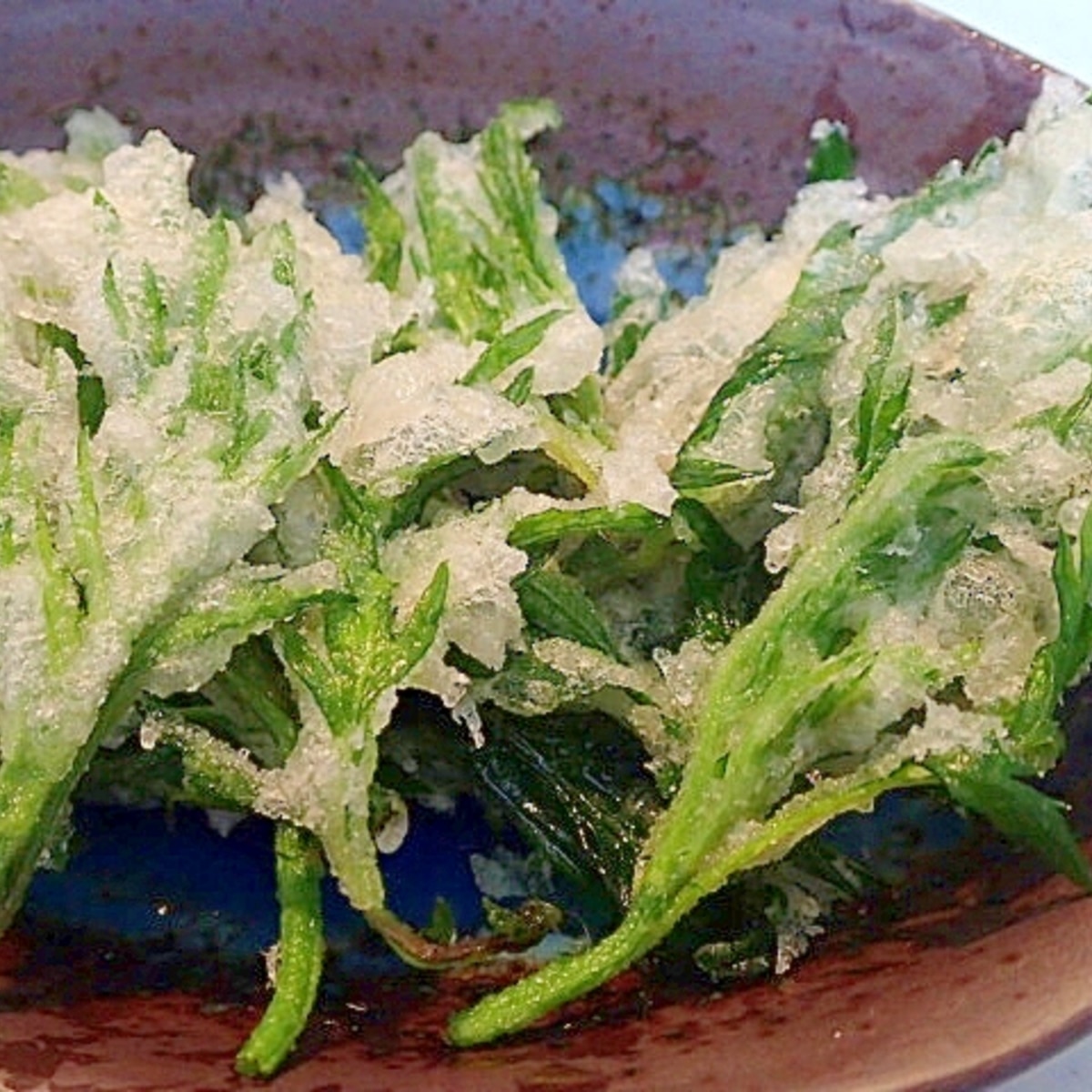 よもぎの天ぷら レシピ 作り方 By ぷ みぃまま 楽天レシピ よもぎの天ぷら レシピ 作り方 By ぷ みぃまま 楽天レシピ